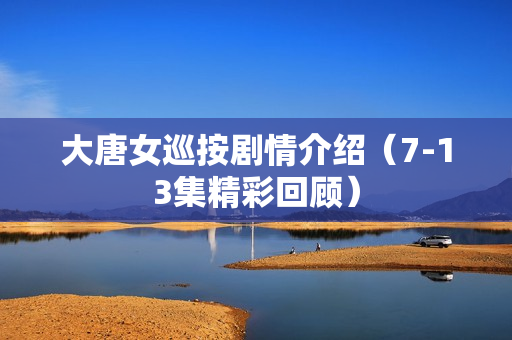 大唐女巡按剧情介绍（7-13集精彩回顾）