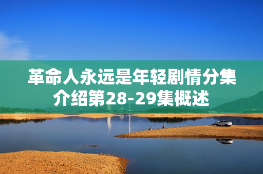 革命人永远是年轻剧情分集介绍第28-29集概述