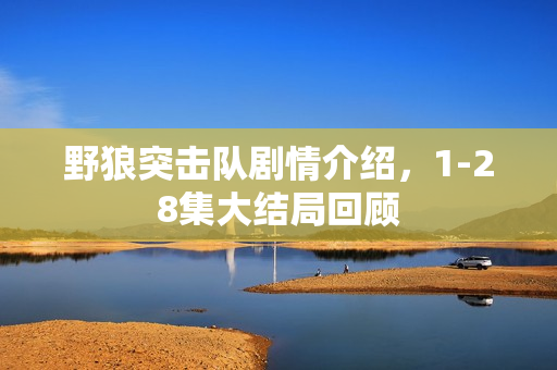 野狼突击队剧情介绍，1-28集大结局回顾