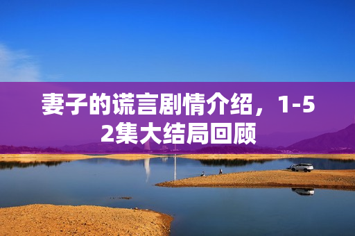 妻子的谎言剧情介绍，1-52集大结局回顾