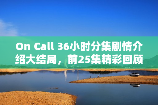 On Call 36小时分集剧情介绍大结局，前25集精彩回顾