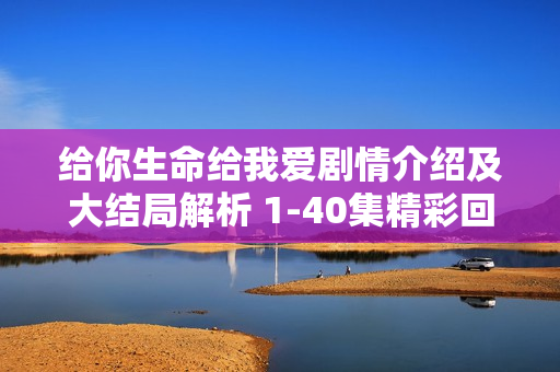 给你生命给我爱剧情介绍及大结局解析 1-40集精彩回顾