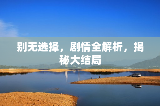 别无选择，剧情全解析，揭秘大结局