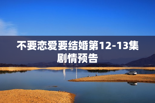 不要恋爱要结婚第12-13集剧情预告