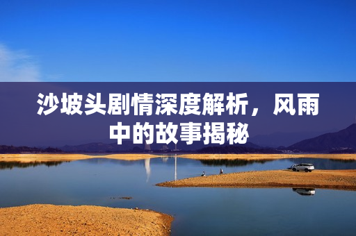 沙坡头剧情深度解析，风雨中的故事揭秘