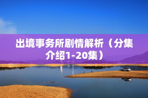 出境事务所剧情解析（分集介绍1-20集）