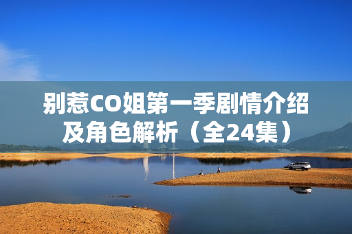 别惹CO姐第一季剧情介绍及角色解析（全24集）