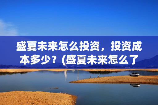 盛夏未来怎么投资，投资成本多少？(盛夏未来怎么了)