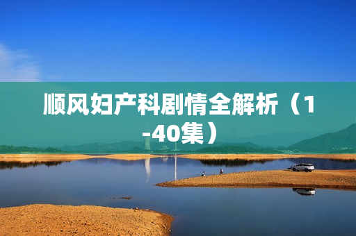 顺风妇产科剧情全解析(1-40集) 顺风妇产科剧情全解析(1-40集)