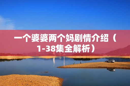 一个婆婆两个妈剧情介绍（1-38集全解析）