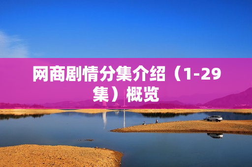 网商剧情分集介绍（1-29集）概览