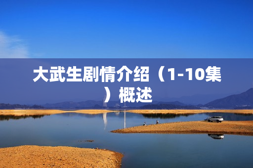 大武生剧情介绍（1-10集）概述