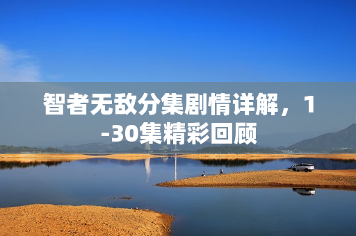 智者无敌分集剧情详解，1-30集精彩回顾