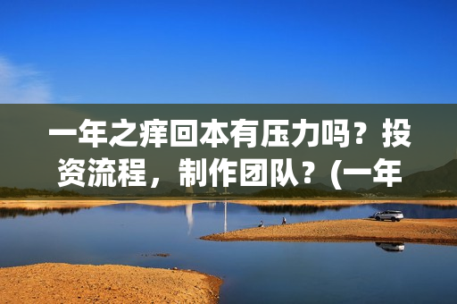 一年之痒回本有压力吗？投资流程，制作团队？(一年之痒2021)