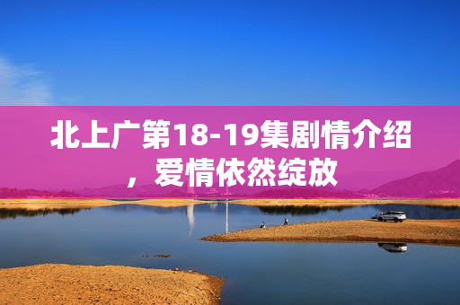 北上广第18-19集剧情介绍，爱情依然绽放