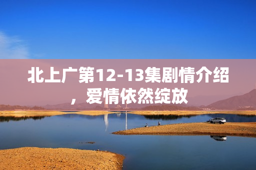 北上广第12-13集剧情介绍，爱情依然绽放