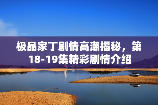 极品家丁剧情高潮揭秘，第18-19集精彩剧情介绍