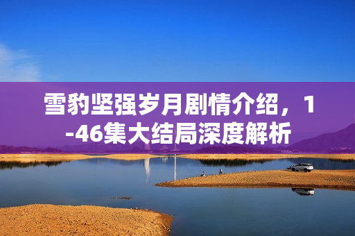 雪豹坚强岁月剧情介绍，1-46集大结局深度解析