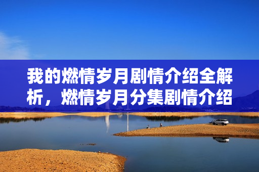 我的燃情岁月剧情介绍全解析,燃情岁月分集剧情介绍(第1-25集大结局) 我的燃情岁月剧情介绍全解析,燃情岁月分集剧情介绍(第1-25集大结局)