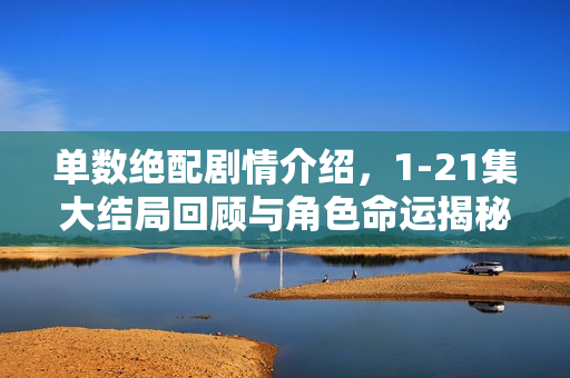 单数绝配剧情介绍，1-21集大结局回顾与角色命运揭秘