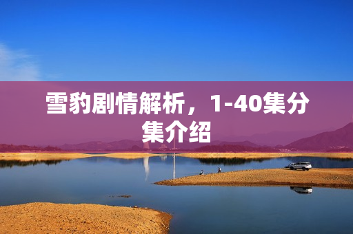 雪豹剧情解析，1-40集分集介绍