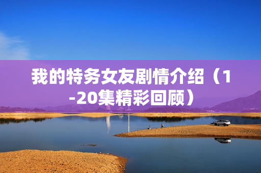 我的特务女友剧情介绍（1-20集精彩回顾）