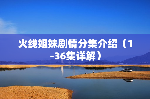 火线姐妹剧情分集介绍（1-36集详解）