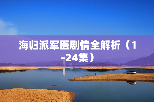 海归派军医剧情全解析（1-24集）