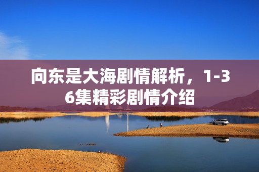向东是大海剧情解析，1-36集精彩剧情介绍
