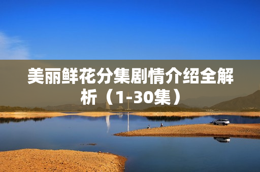 美丽鲜花分集剧情介绍全解析（1-30集）