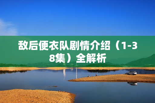 敌后便衣队剧情介绍（1-38集）全解析