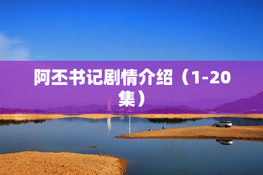 阿丕书记剧情介绍（1-20集）