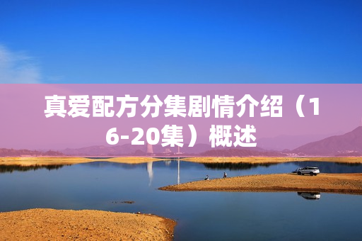 真爱配方分集剧情介绍(16-20集)概述 真爱配方分集剧情介绍(16-20集)概述