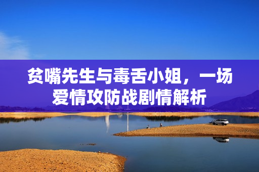 贫嘴先生与毒舌小姐，一场爱情攻防战剧情解析