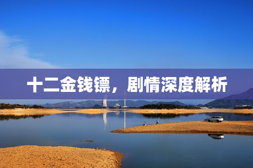 十二金钱镖，剧情深度解析