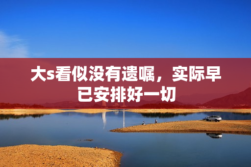 大s看似没有遗嘱，实际早已安排好一切