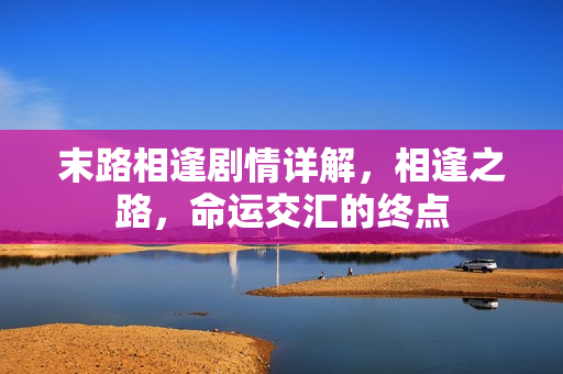 末路相逢剧情详解，相逢之路，命运交汇的终点