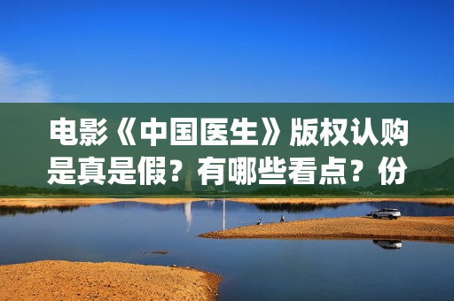 电影《中国医生》版权认购是真是假？有哪些看点？份额多少钱一份？(电影《中国医生》)