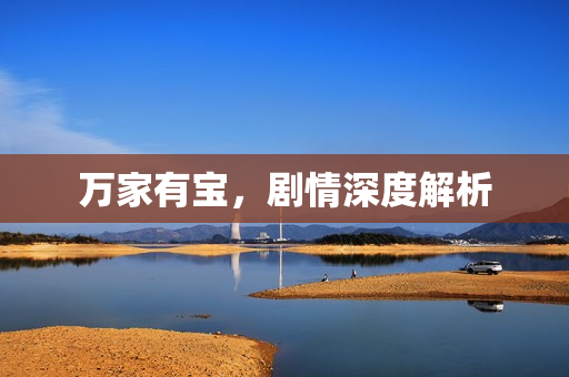 万家有宝，剧情深度解析