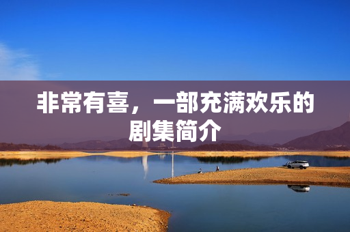 非常有喜，一部充满欢乐的剧集简介