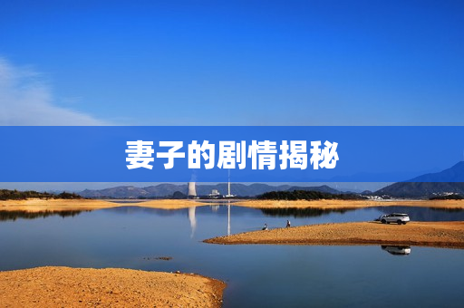 妻子的剧情揭秘