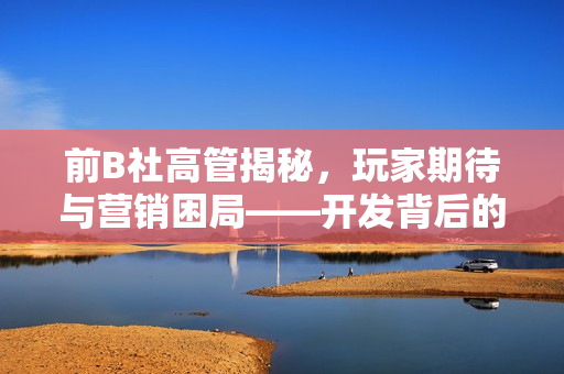 前B社高管揭秘，玩家期待与营销困局——开发背后的挑战