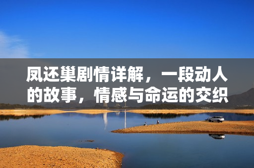 凤还巢剧情详解，一段动人的故事，情感与命运的交织