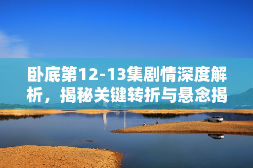 卧底第12-13集剧情深度解析，揭秘关键转折与悬念揭晓