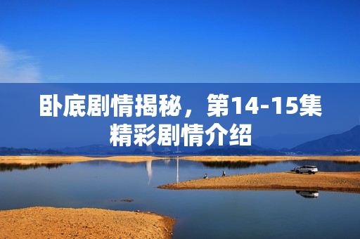 卧底剧情揭秘，第14-15集精彩剧情介绍