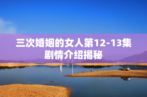 三次婚姻的女人第12-13集剧情介绍揭秘
