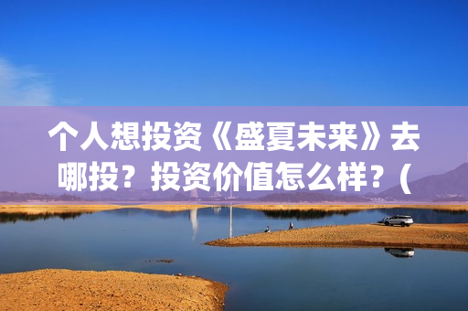 个人想投资《盛夏未来》去哪投？投资价值怎么样？(个人投资做什么好)