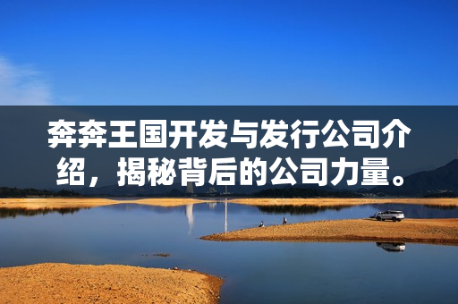 奔奔王国开发与发行公司介绍，揭秘背后的公司力量。