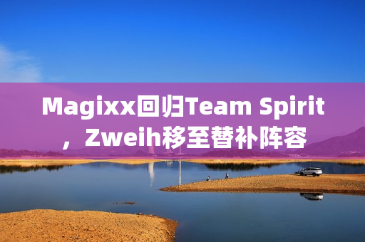 Magixx回归Team Spirit，Zweih移至替补阵容
