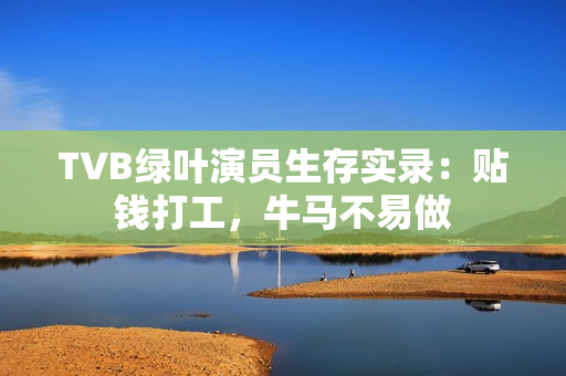TVB绿叶演员生存实录：贴钱打工，牛马不易做
